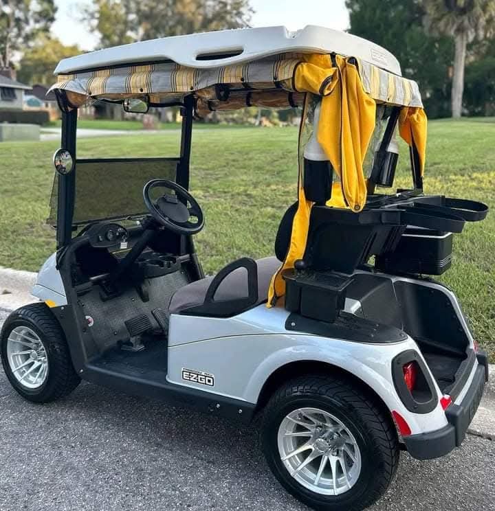 2009 E-Z-GO RXV 48V Electric Golf Cart