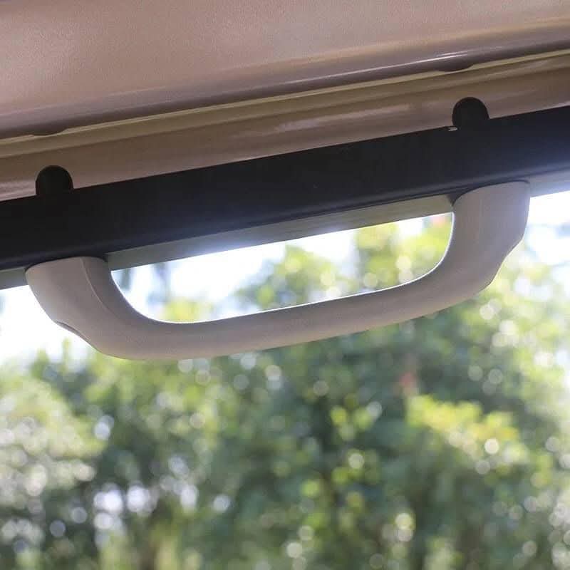5000W Custom 6-Passenger Electric Hotel Golf Cart