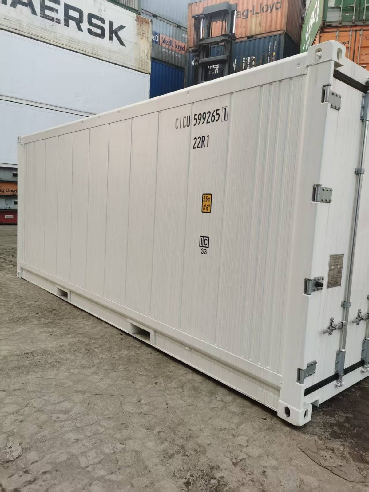 6m / 20ft Refrigerated Reefer Container – Thermo King